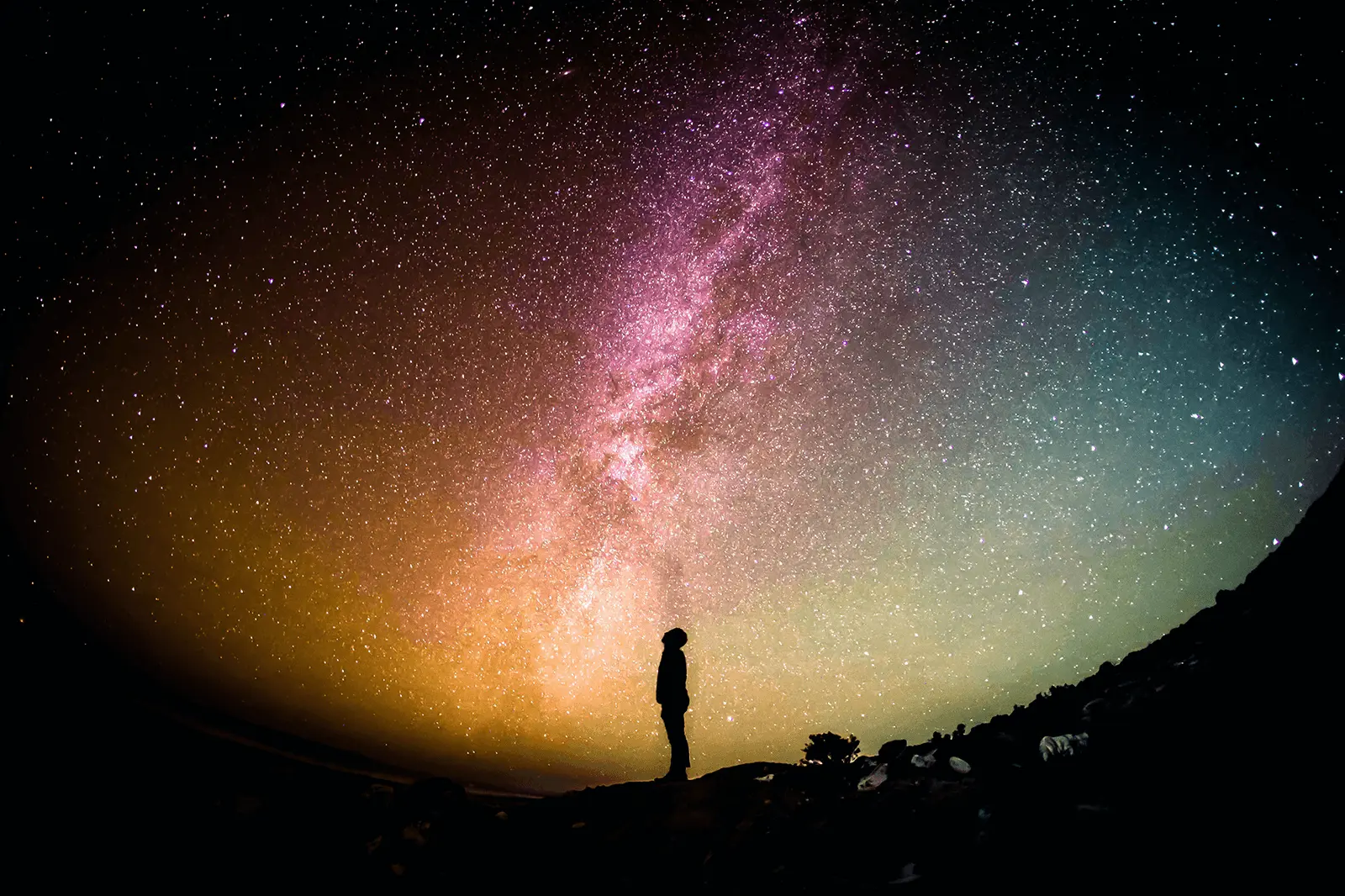 Co-hosted by NNSO: Decoding Galactic Evolution through the Interplay of the Multi-Phase Interstellar Medium